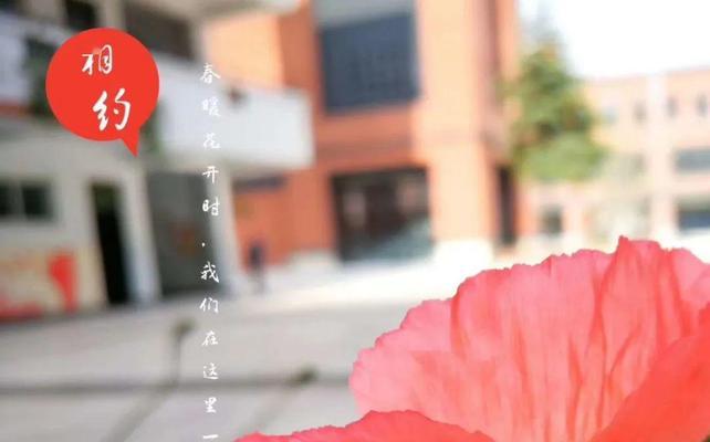 挽回爱情，给心灵一个机会（以诚之笔，感动你的心）