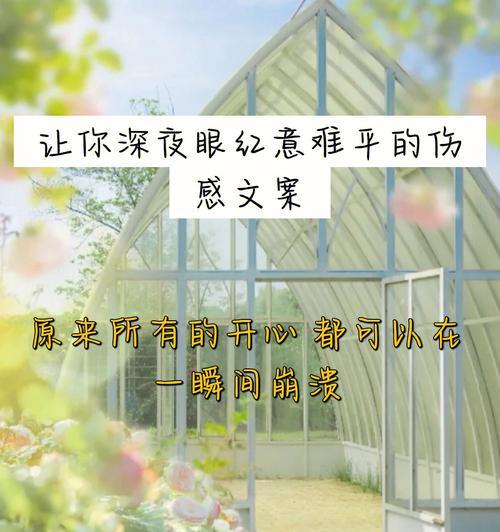 深夜挽回，伤感的爱情故事（前任的回忆，情感的牵绊与迷茫）