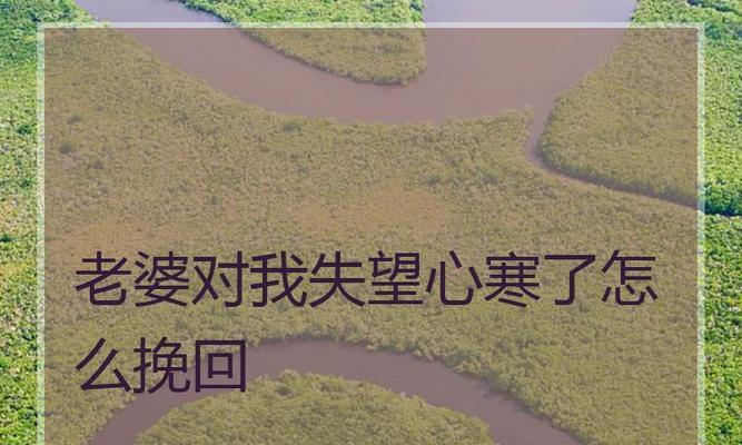 15个关键步骤让你成功挽回老婆的心（15个关键步骤让你成功挽回老婆的心）