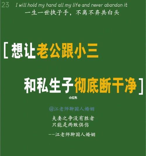 婚外情生子的处理方式（探讨婚外情生子的法律与伦理问题，如何妥善处理）