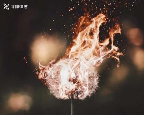 如何成功挽回在乎的人（掌握这些技巧，让你赢得他们的心（）