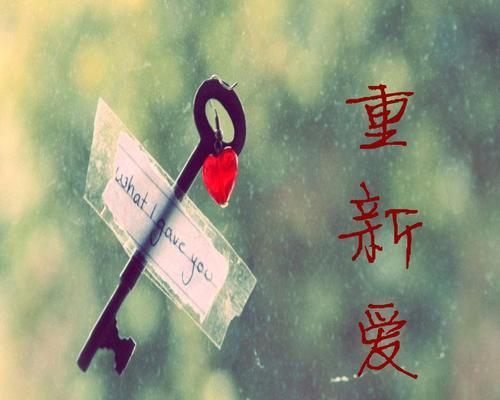 无法挽回的感情（重拾旧情已不可能，如何走出痛苦泥淖？）