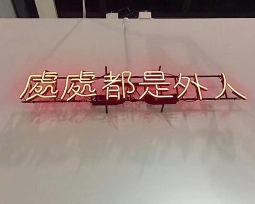 掩饰的真相（揭开谎言的面纱，还原事实真相）