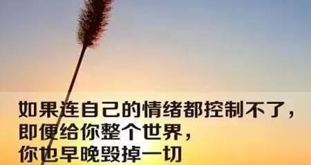 婚姻中，不该讲道理（以情感为纽带，建立夫妻关系）