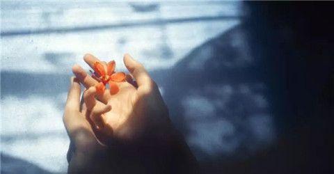 挽回爱情的最佳方案——以彻底消失为关键（用消失换回真正的爱情，让过去成为过去，迎接未来的新生）