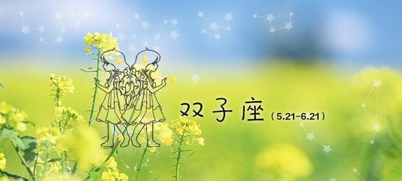 征服双子座男生的心灵密码（揭秘双子座男生恋爱心理，助你甜蜜迈向爱情天堂！）