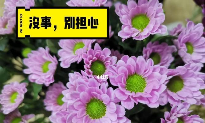女人说“我没事”该怎么回应？（学会聆听女性心声，维护良好关系）