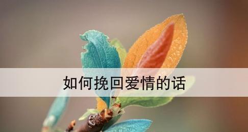如何用言语挽回爱情（15个句子教你追回女朋友）
