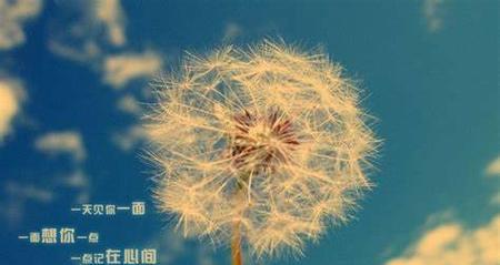 如何用一句话打动他的心，让爱情重新升温？（教你如何让他回心转意，激发他对你的热爱！）