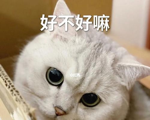 男人也需要学会哄女人开心（掌握这些技巧，让女人心甘情愿为你付出）