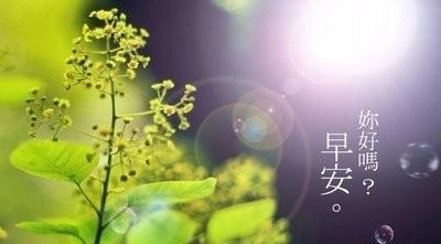 爱在清晨，情话甜蜜又动人（15句早安情话，让你的爱人一整天都美好幸福）