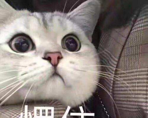 恋爱，欲速则必达？（放慢脚步，培养感情/恋爱中的心理误区/恋爱需要的耐心和信任）