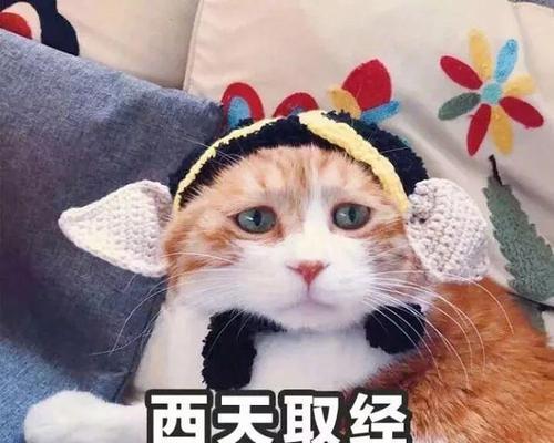 感冒也能甜蜜，土味情话来袭！（用温暖的话语照顾你的心灵，让感冒不再那么孤单）
