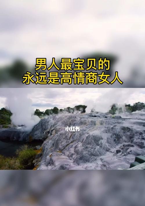 高情商挽回指南（用智慧解决恋爱危机）