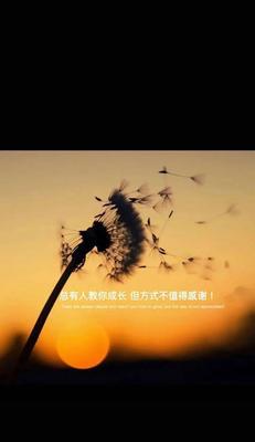 21天实战指南，让你轻松挽回你爱的人（从心理学到行动计划，全方位教你如何重新获得爱情）