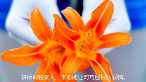 情感挽回话语大全——用语精准、情感投射（重拾爱情，细节关乎成败）