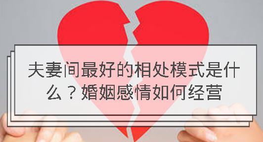夫妻共筑幸福家园（以婚姻经营秘籍）