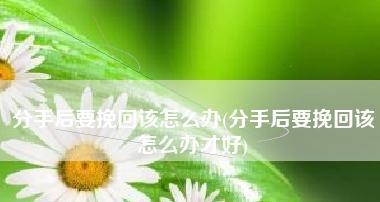 挽回爱情，重修美好（以分手为契机，学会正确应对）