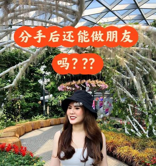 如何以分手后做朋友为利器挽回爱情